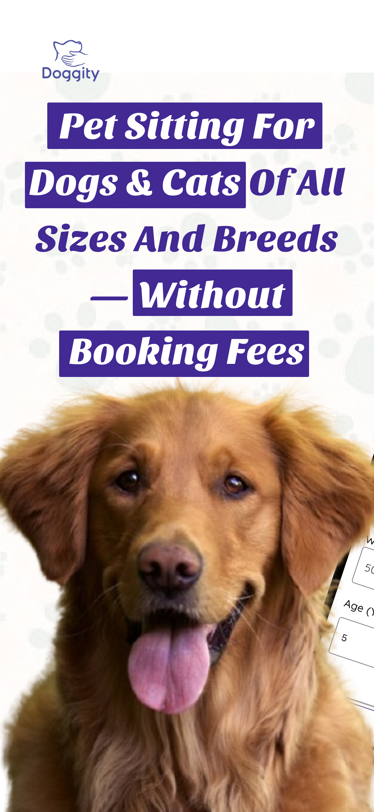 Doggity App Dashboard